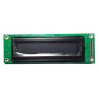 WP2002A-Y-JCS PLED Display